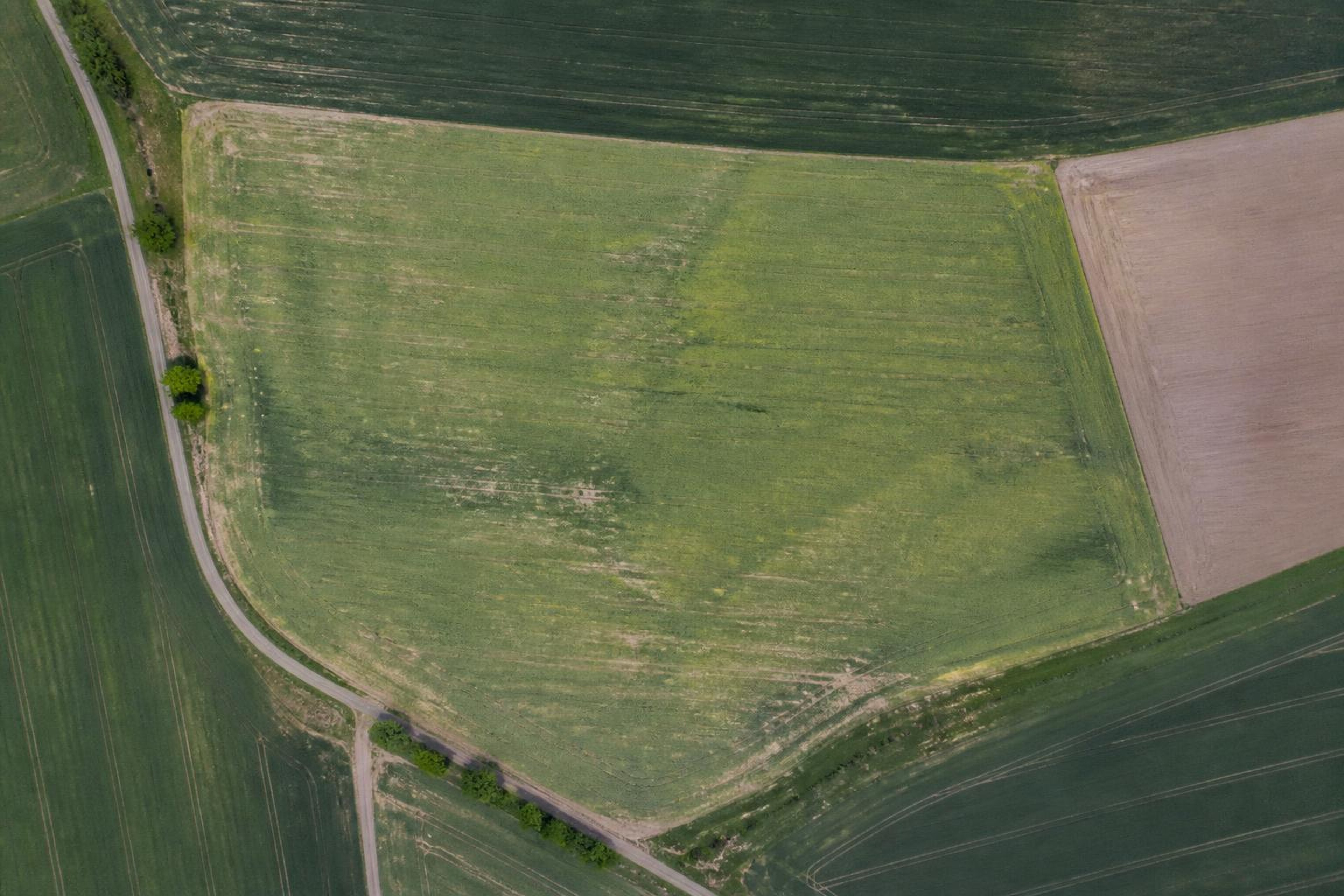 Field mapping & zones — Before