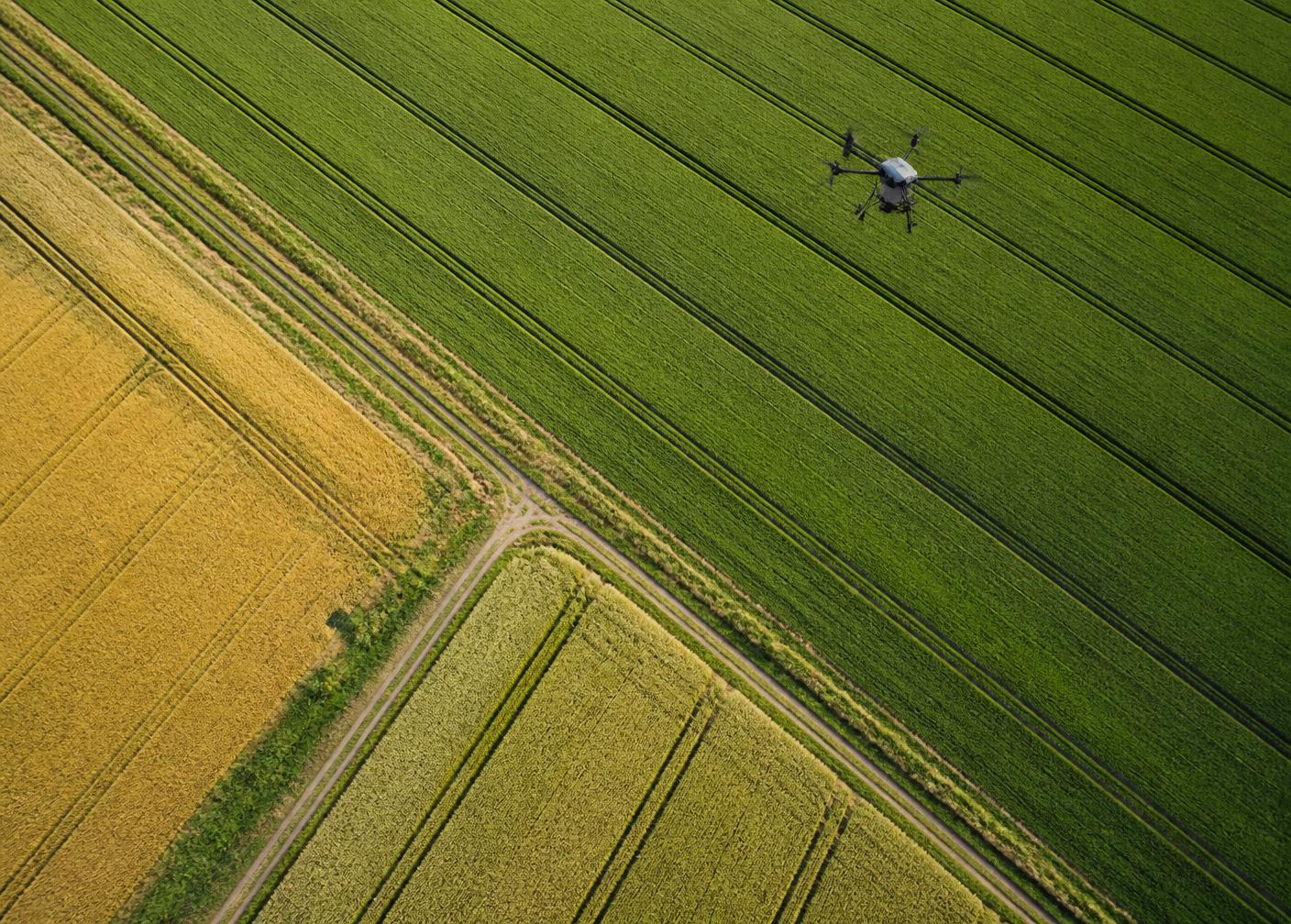 Seasonal crop map
